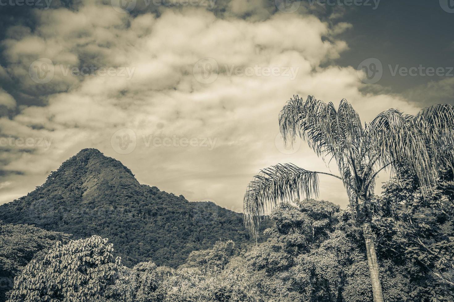 montaña abraao pico do papagaio con nubes ilha grande brasil. foto