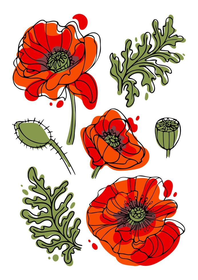 Set of modern bright Poppy flowers for memorial day, on a white background. Botanical vector illustration in hand drawn style for stickers, posters, cards, design elements