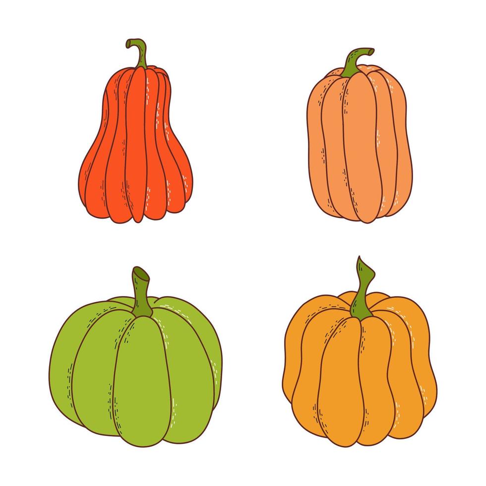 conjunto de calabazas de varias formas y colores. elementos de acción de gracias y halloween. ilustración vectorial en estilo dibujado a mano vector