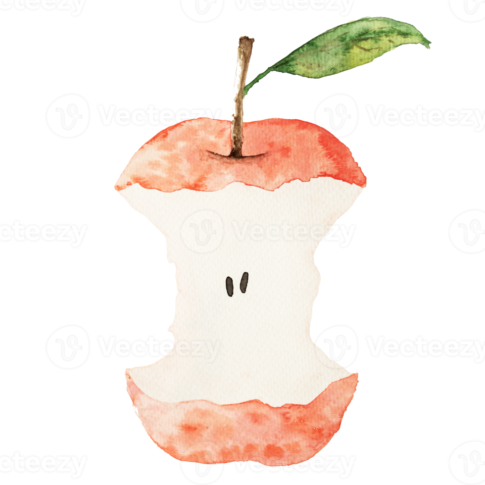 Red apple painted by watercolor Eco natural food fruit illustration isolated on translucent background png