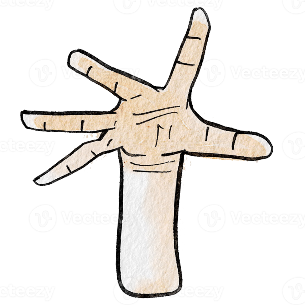 Watercolor various hand gestures png