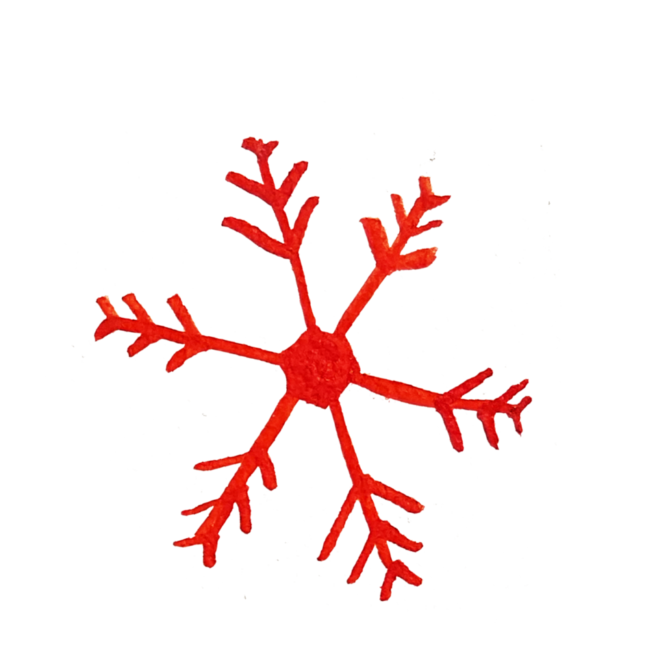 aquarel kerst elementen png