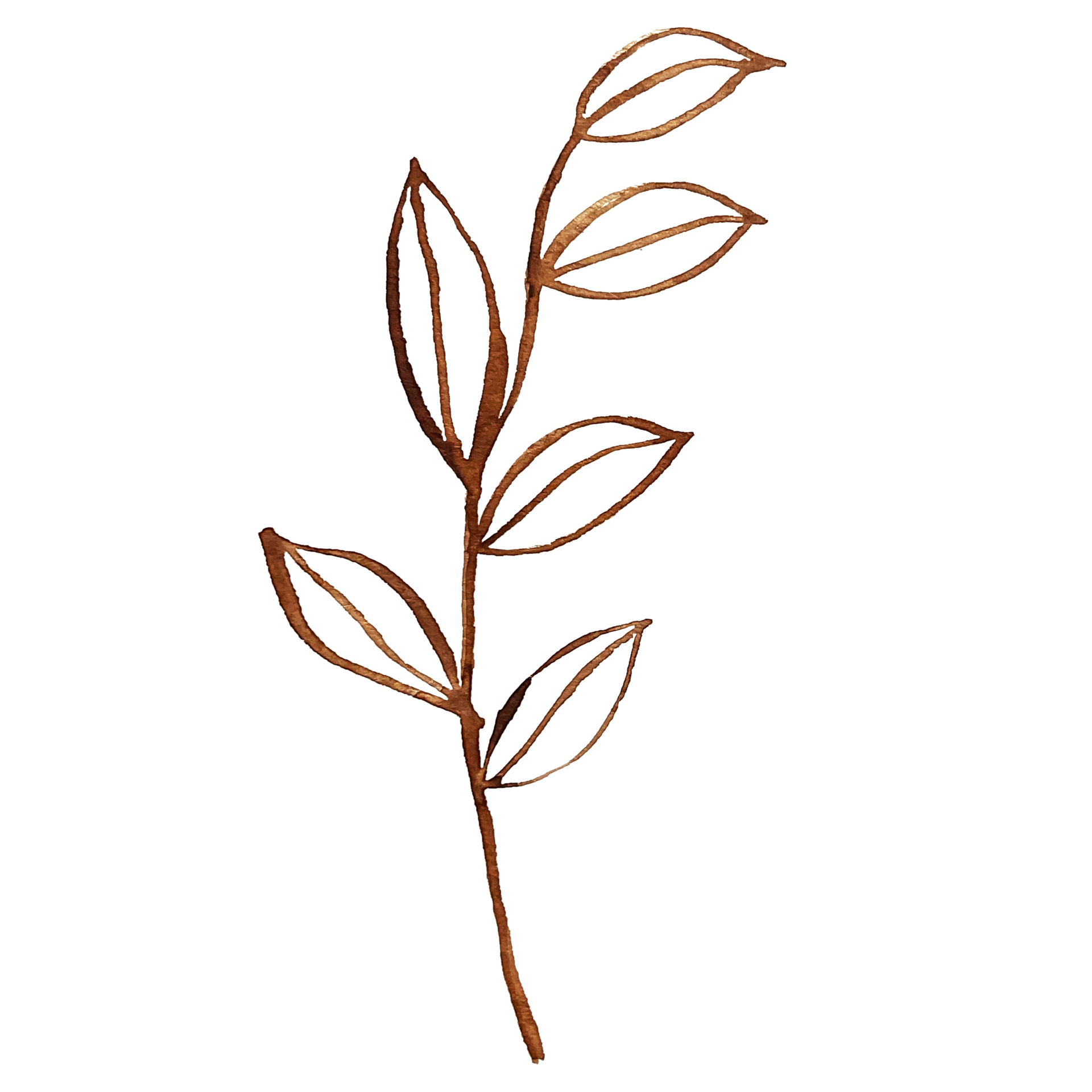 brown leaf watercolor element 15085079 PNG