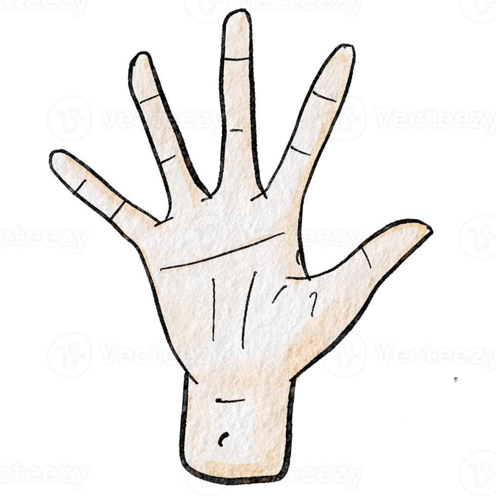 Watercolor various hand gestures png