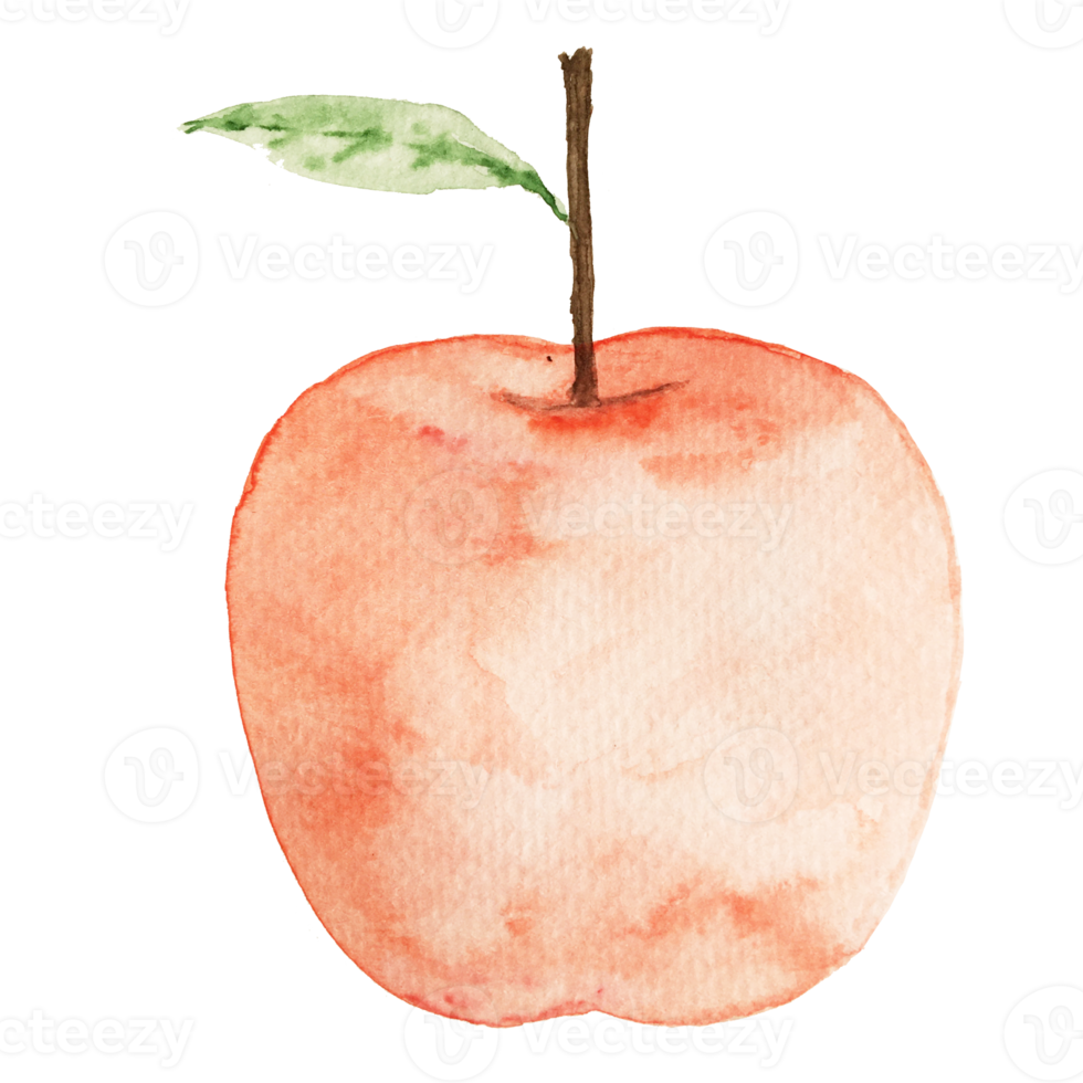 Red apple painted by watercolor Eco natural food fruit illustration isolated on translucent background png
