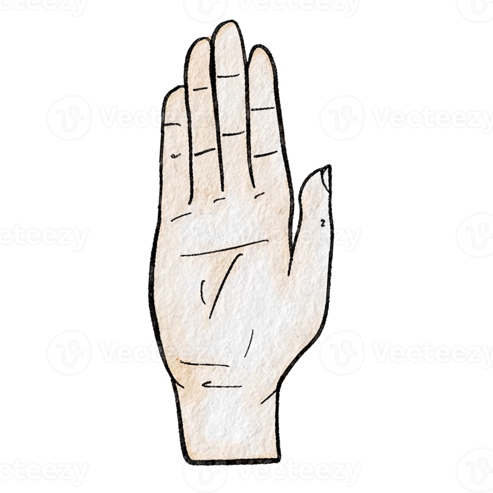 waterverf divers hand- gebaren png