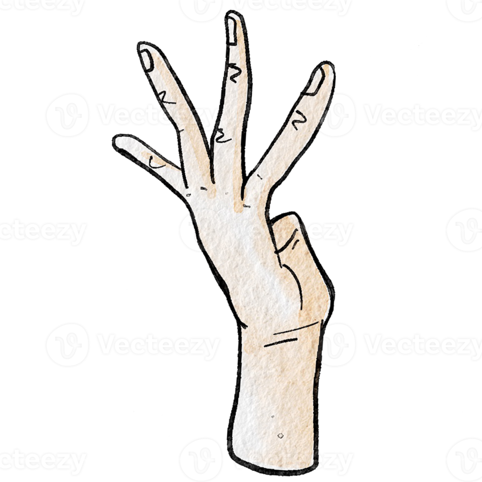 Watercolor various hand gestures png