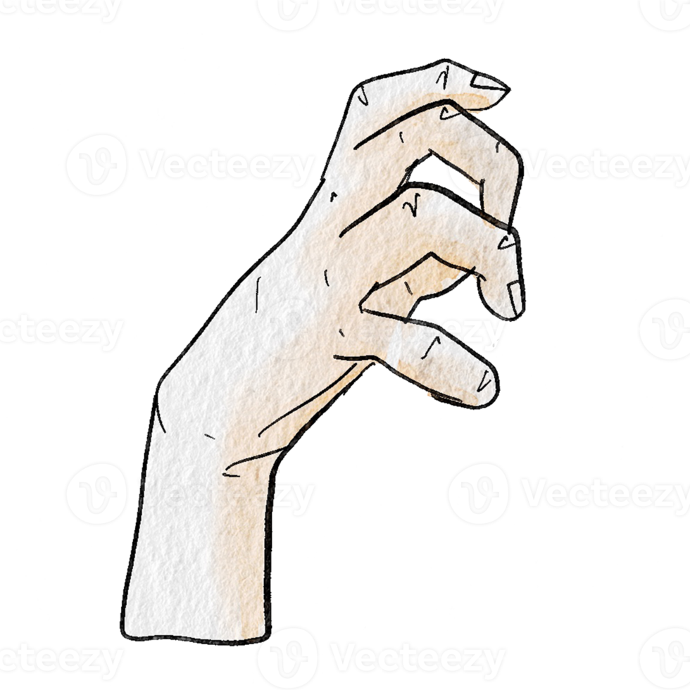 Watercolor various hand gestures png