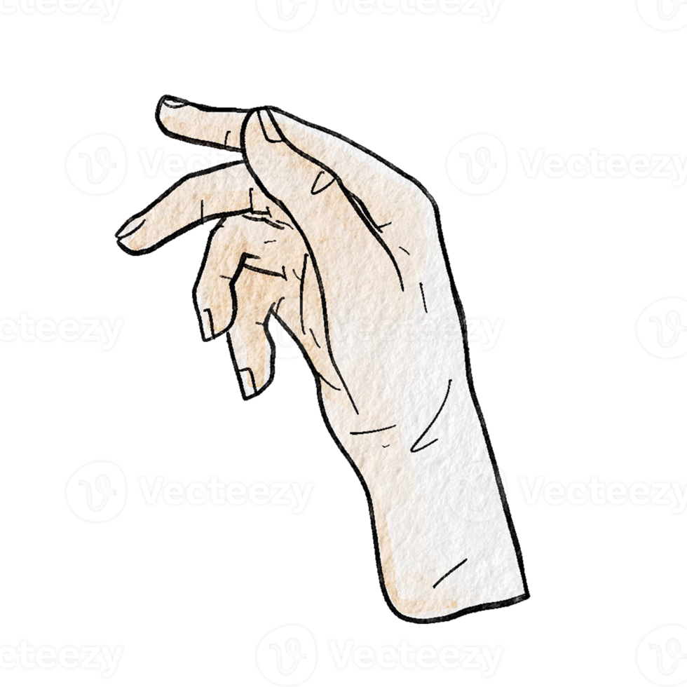 Watercolor various hand gestures png