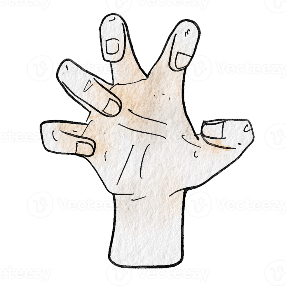 Watercolor various hand gestures png