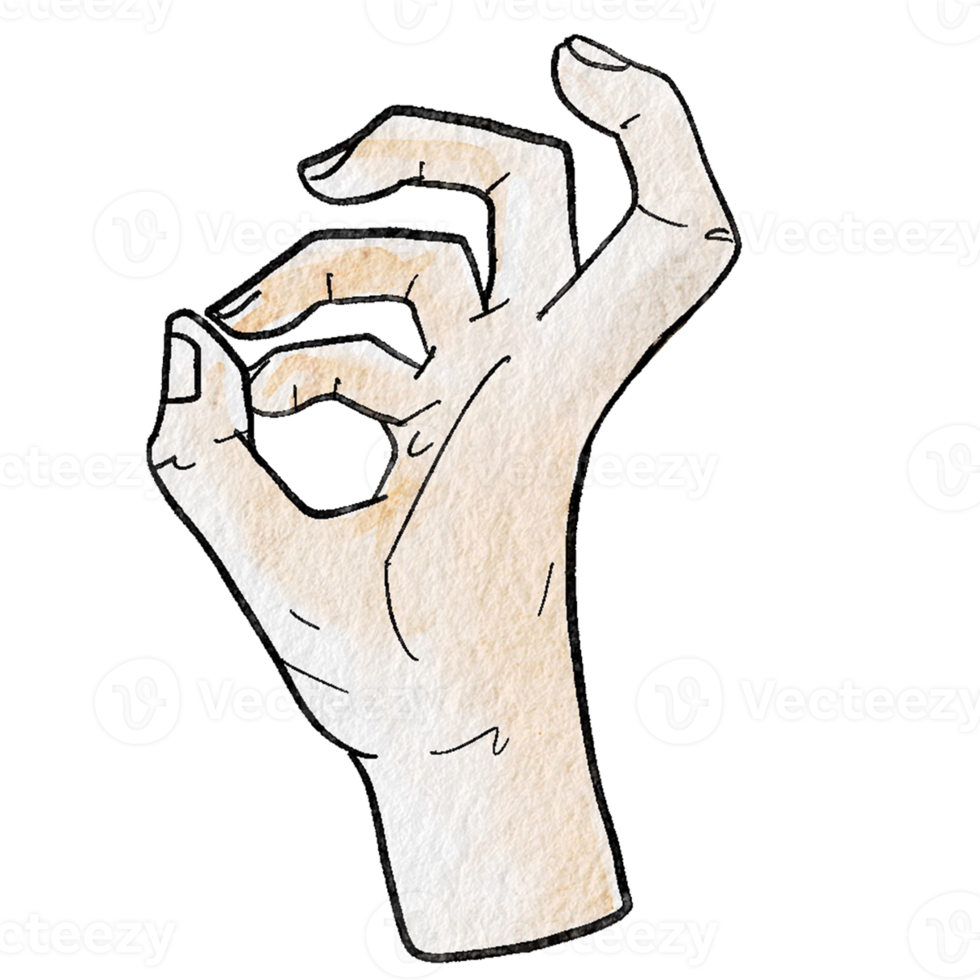 Watercolor various hand gestures png