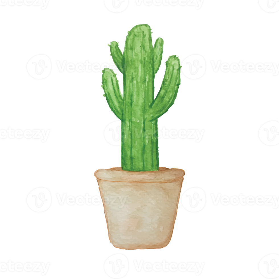 clipart aquarelle de cactus png