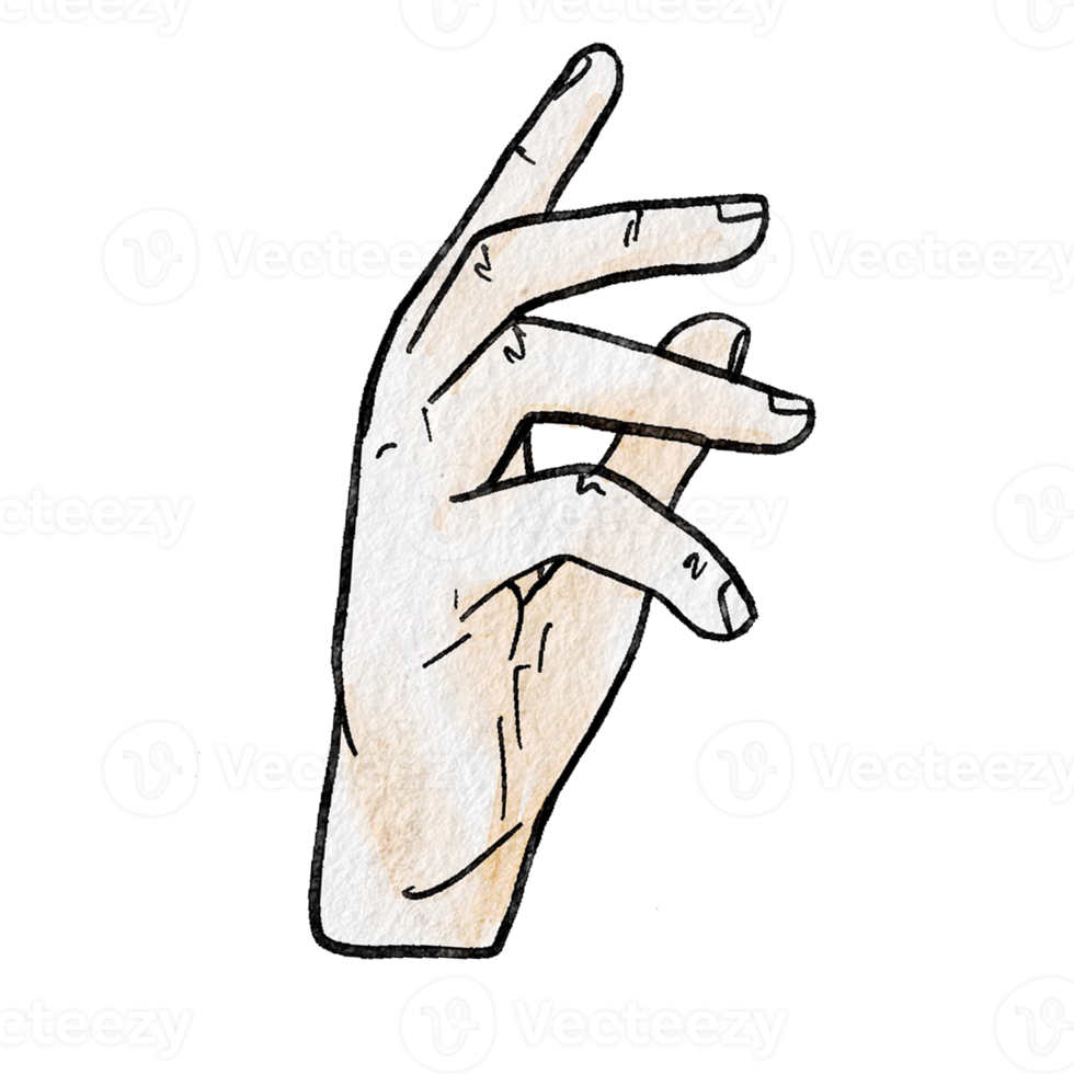 Watercolor various hand gestures png