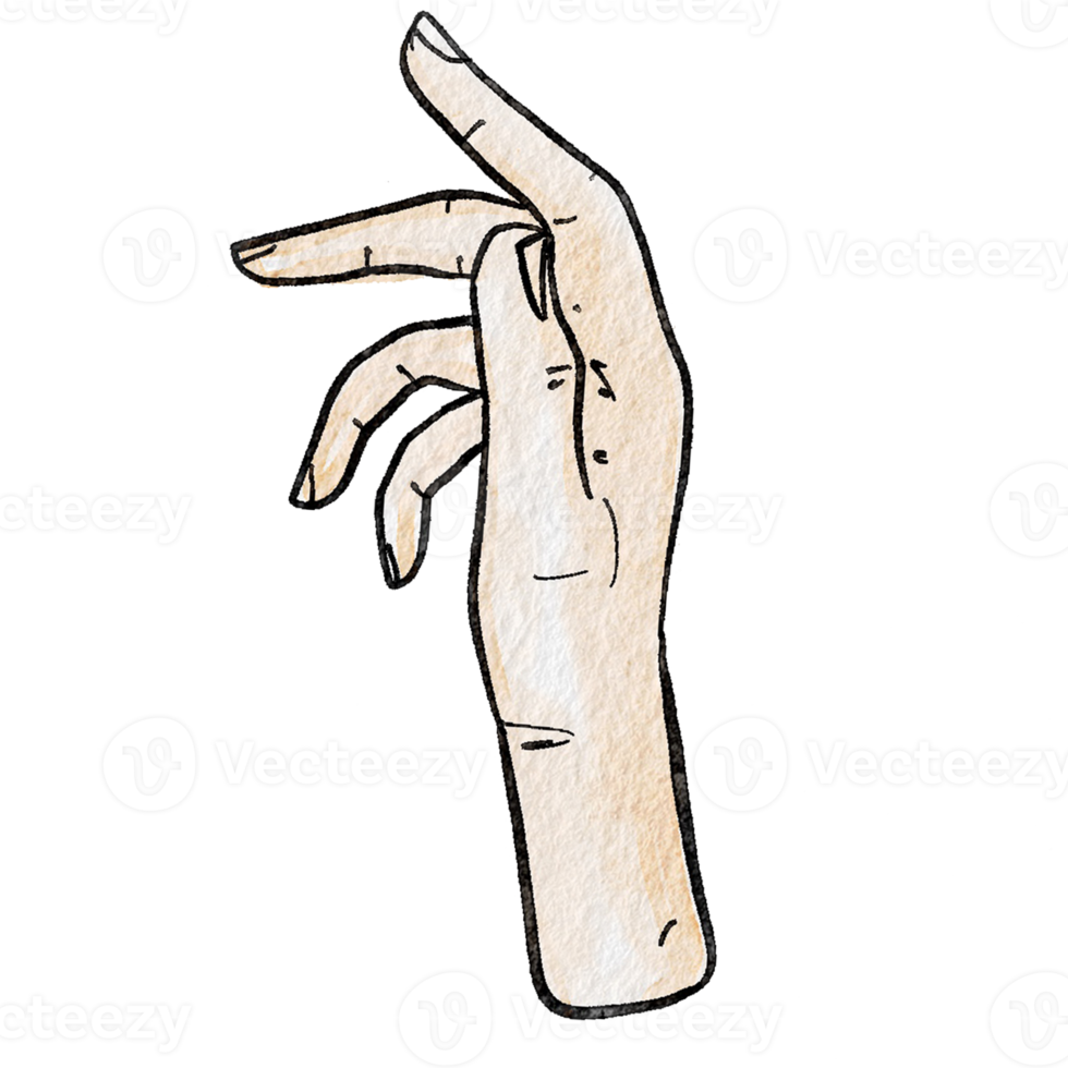 Watercolor various hand gestures png