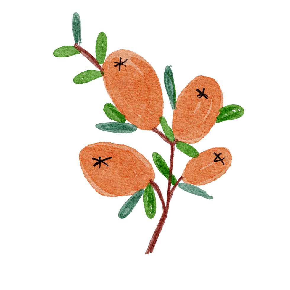 abstract flower watercolor elements png