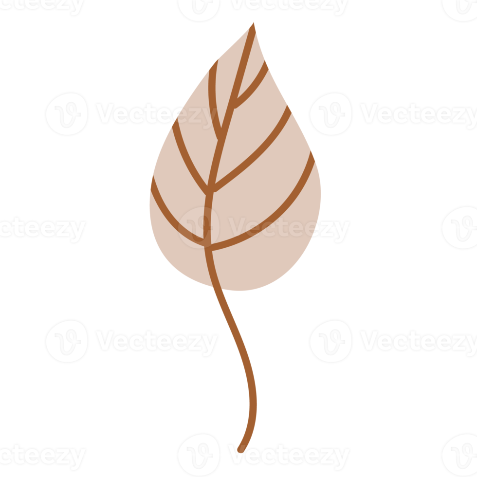 autumn fallen leaf png
