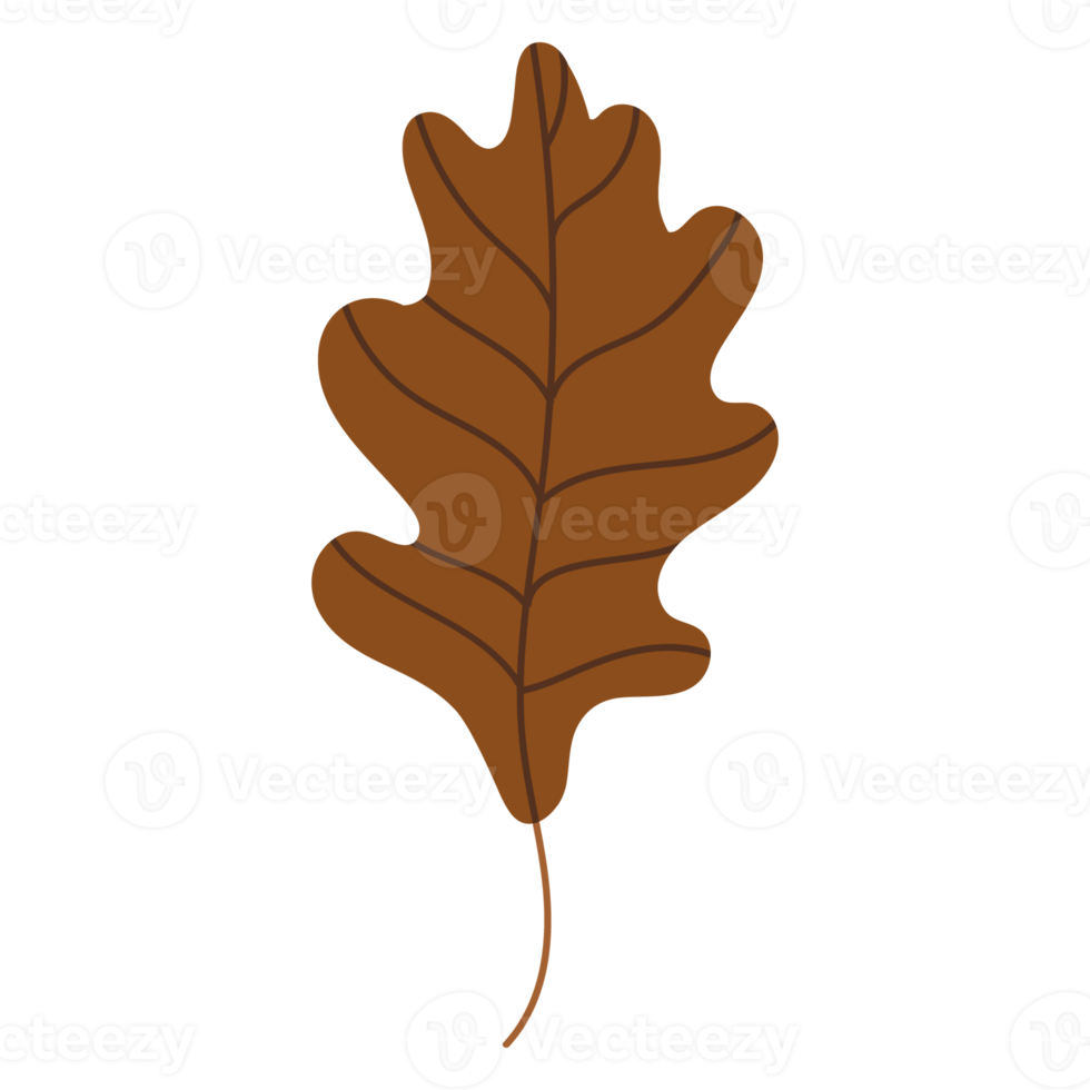 autumn fallen leaf png