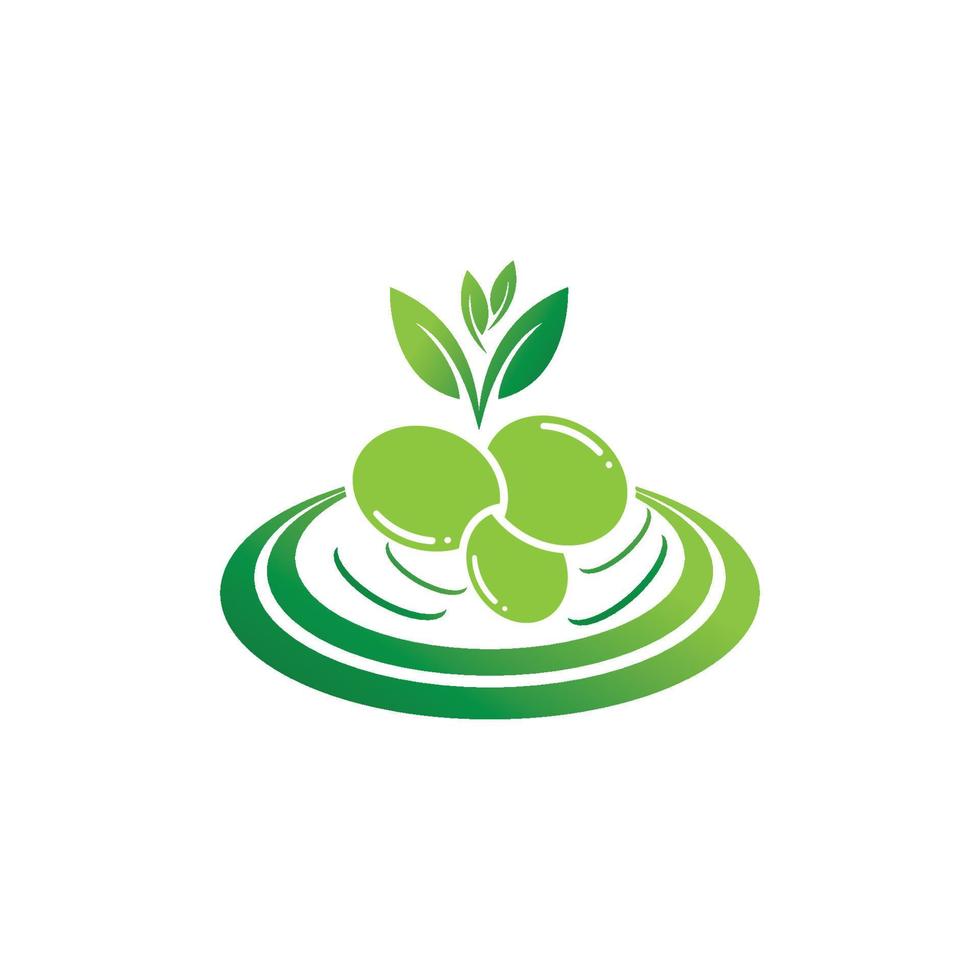 Olive icon vector illustration