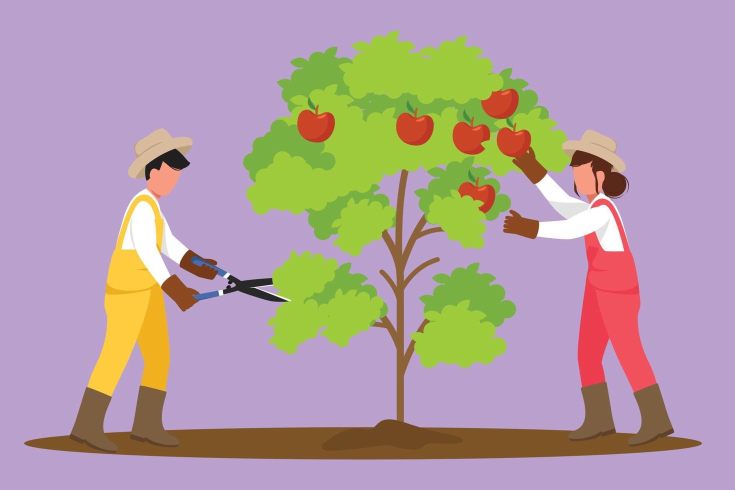 diseño gráfico plano dibujo agricultura jardineros cuidan el árbol en el jardín. pareja de agricultores plantando juntos. hombre con tijeras cortando ramas, mujer recogiendo manzana. ilustración vectorial de dibujos animados vector