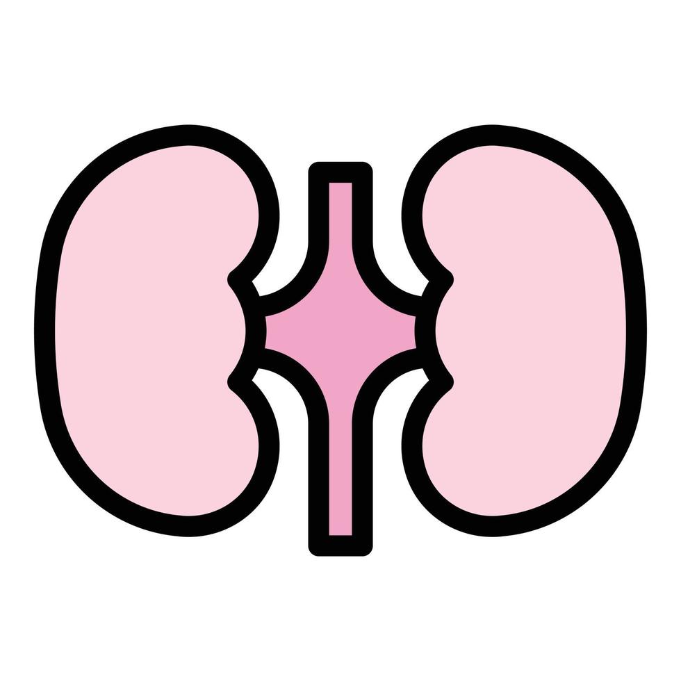 Urology kidney icon color outline vector