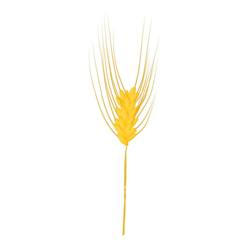 Rye stalk icon, cartoon style vector