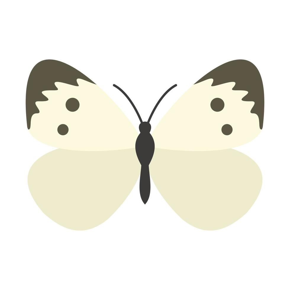 Butterfly with pattern on wings icon, flat style vector