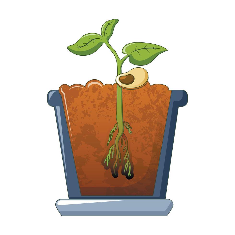Bean plant growing icon, cartoon style vector