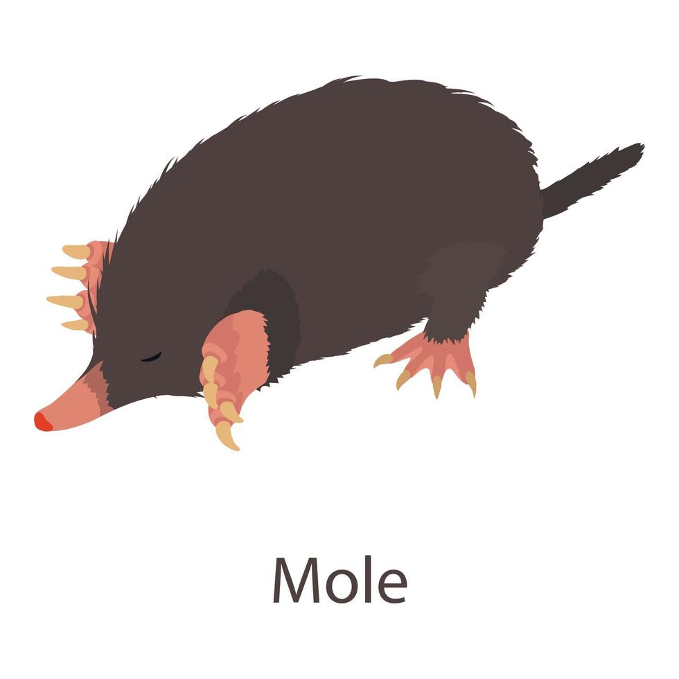 Mole icon, isometric style vector