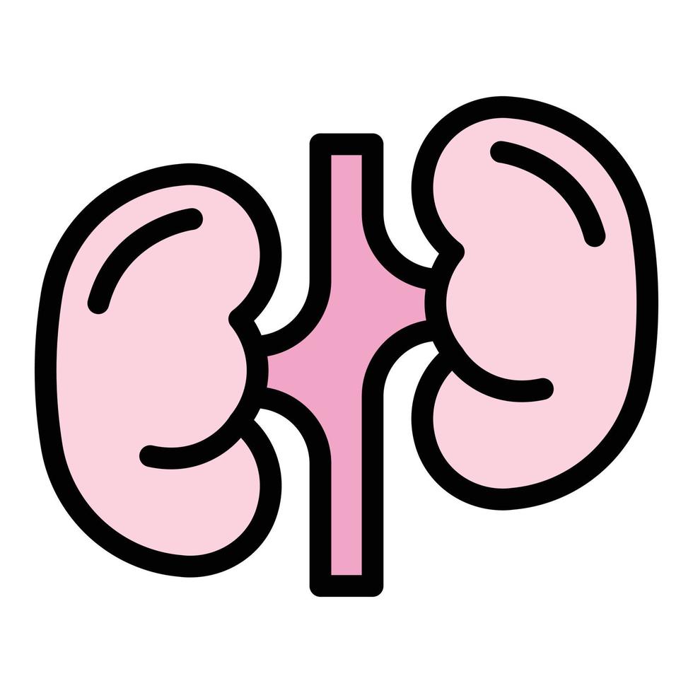 Kidney icon color outline vector