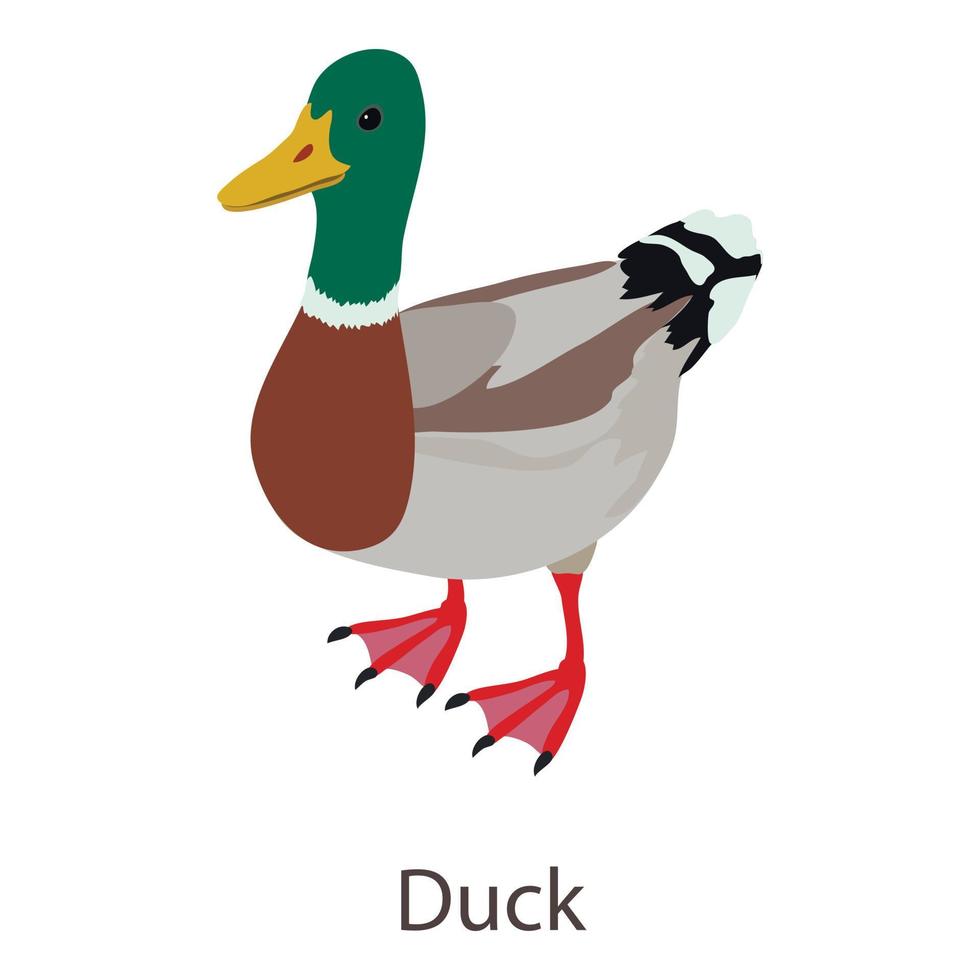 icono de pato, estilo isométrico vector