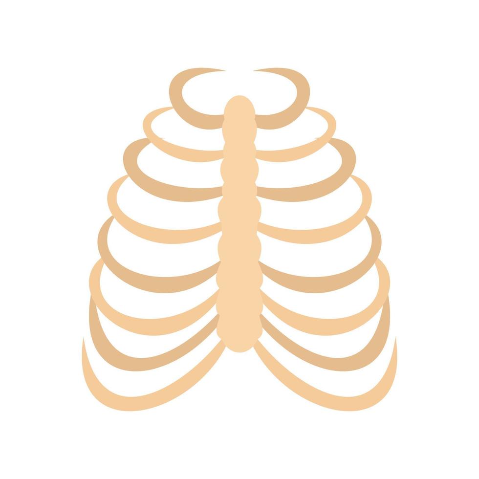 Rib cage icon, flat style vector