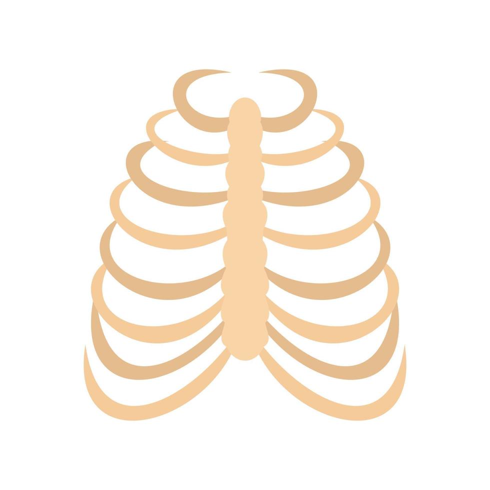 Rib cage icon, flat style vector