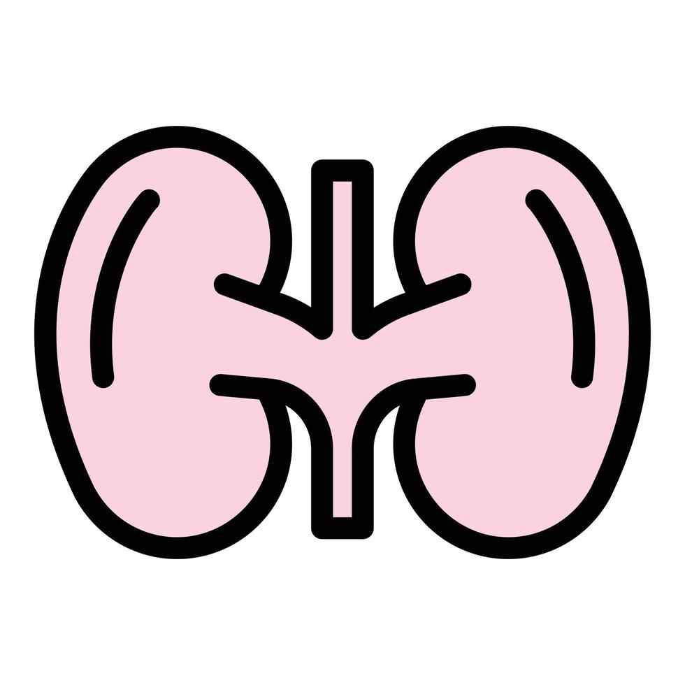 System kidney icon color outline vector