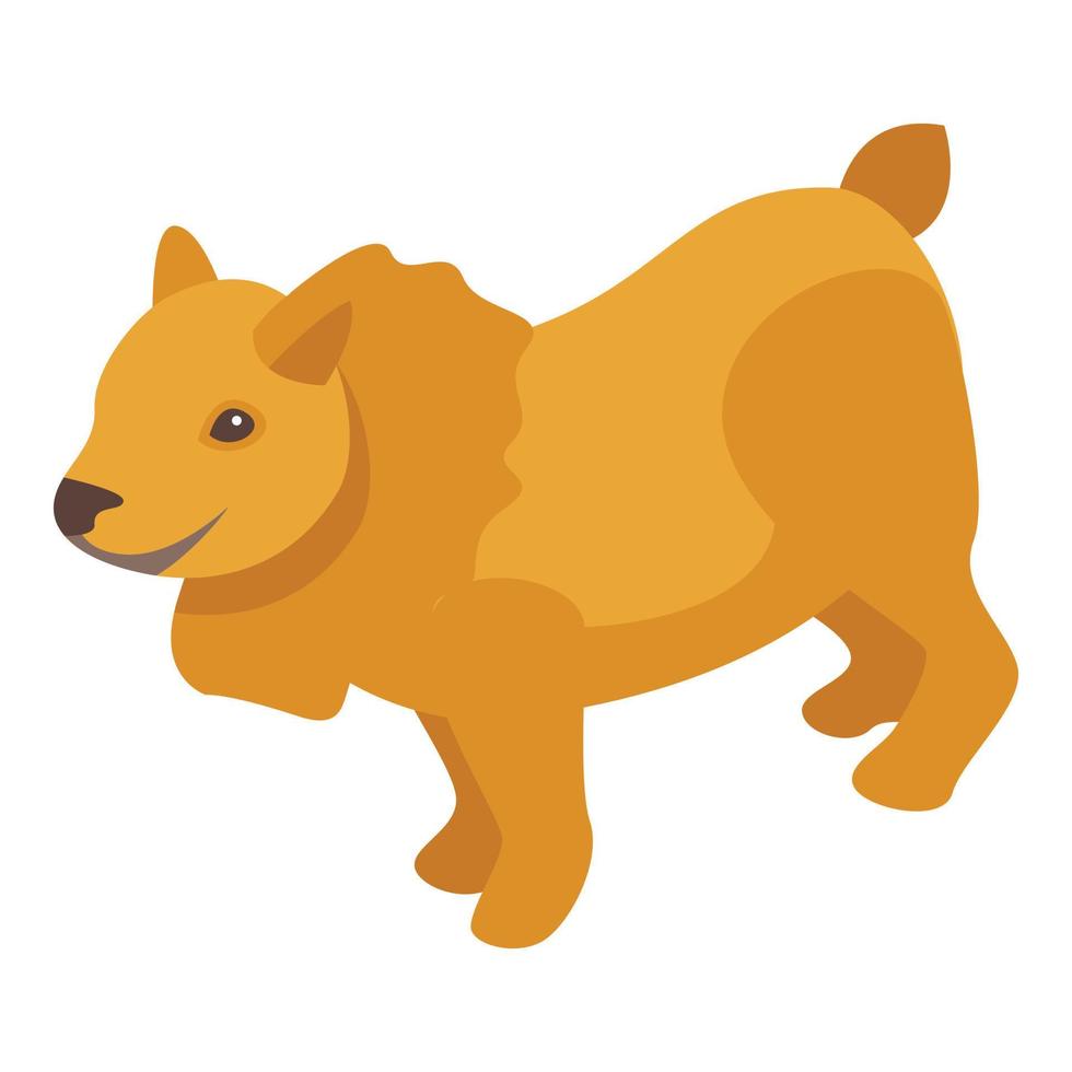 lindo perro limpio icono vector isométrico. arreglo de spa