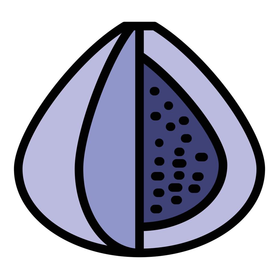 Dried figs icon color outline vector
