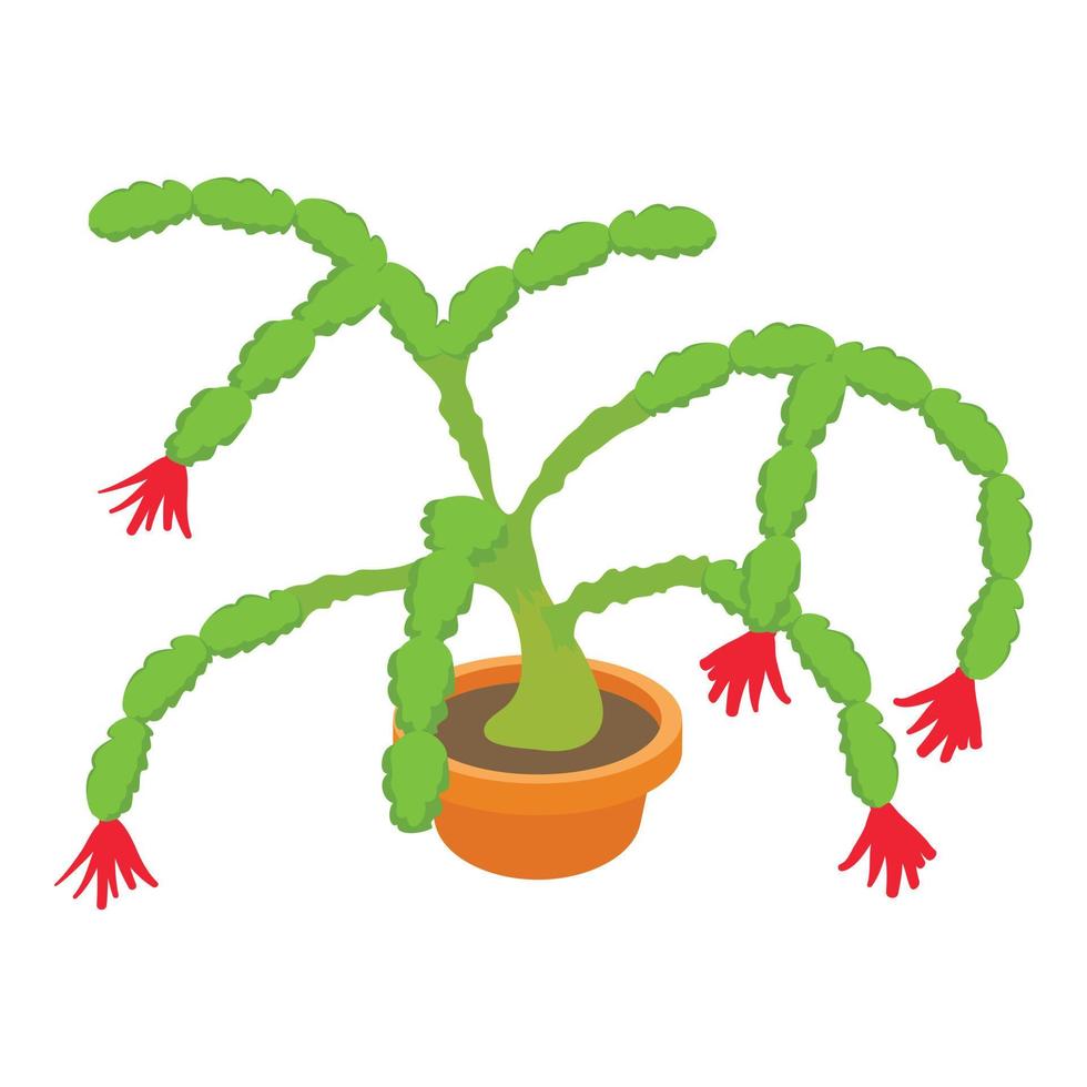 Christmas cactus icon, cartoon style vector