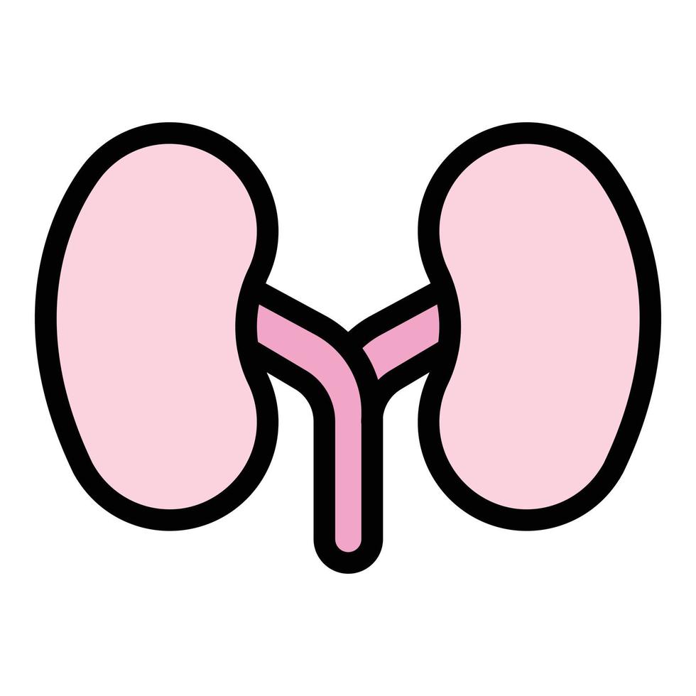 System kidney icon color outline vector