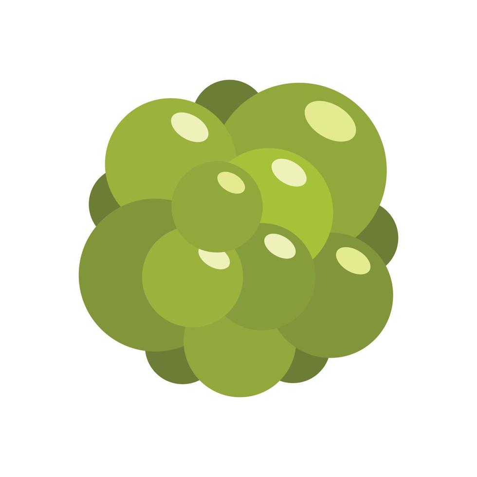 Ovary icon, flat style vector