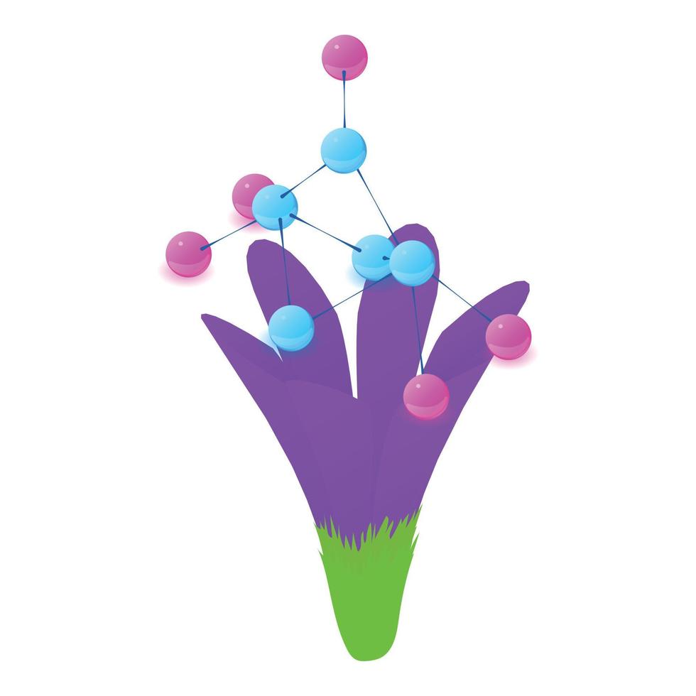 vector isométrico del icono de la flor del azafrán. icono de molécula y flor morada florecida