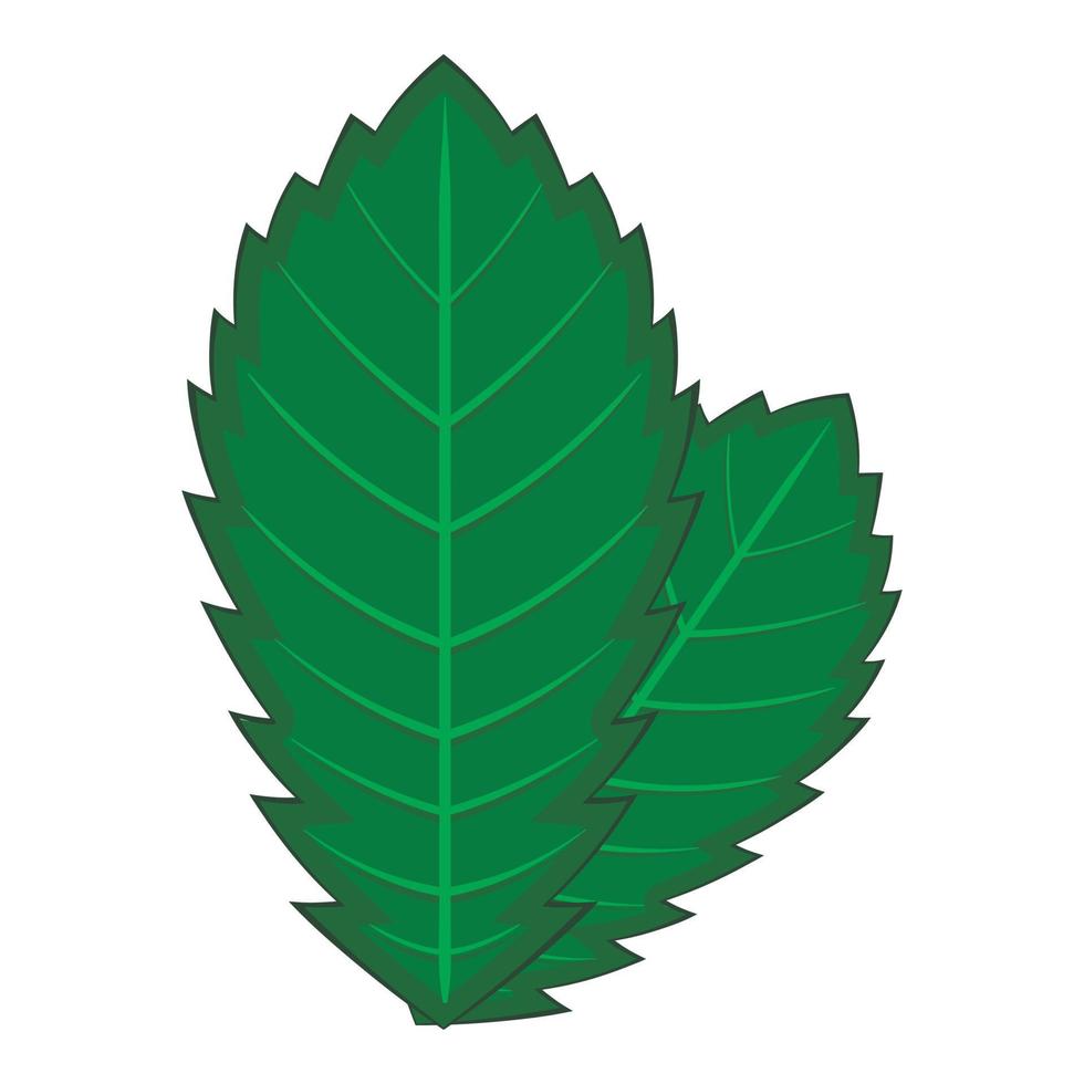 Elm leaf icon, cartoon style vector