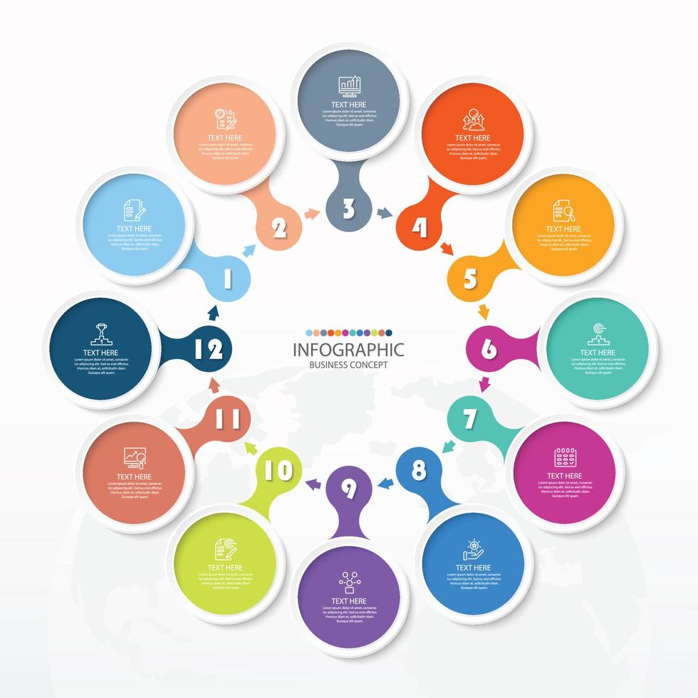 plantilla infográfica circular básica con 12 pasos, procesos u opciones. vector