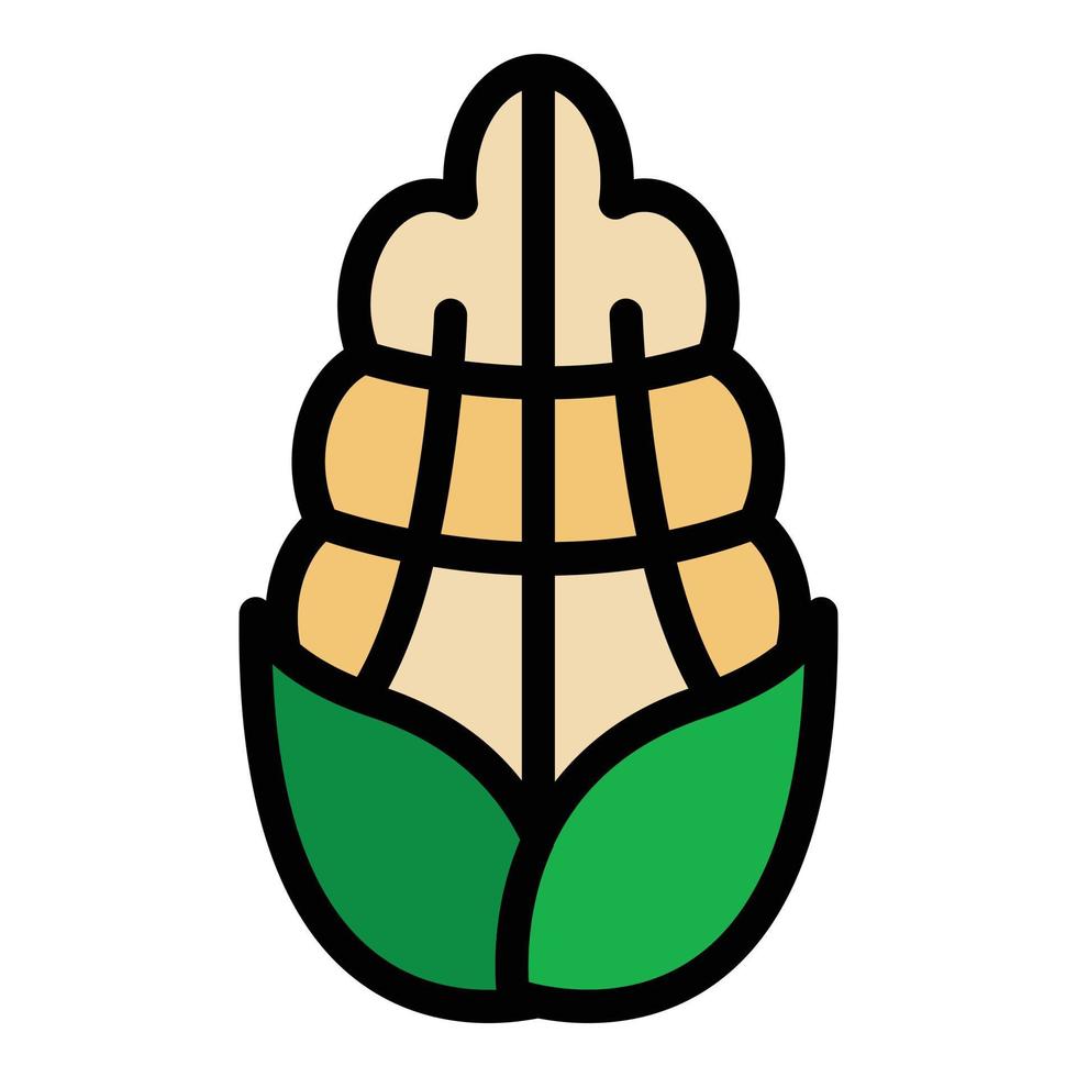 Eco corn icon color outline vector