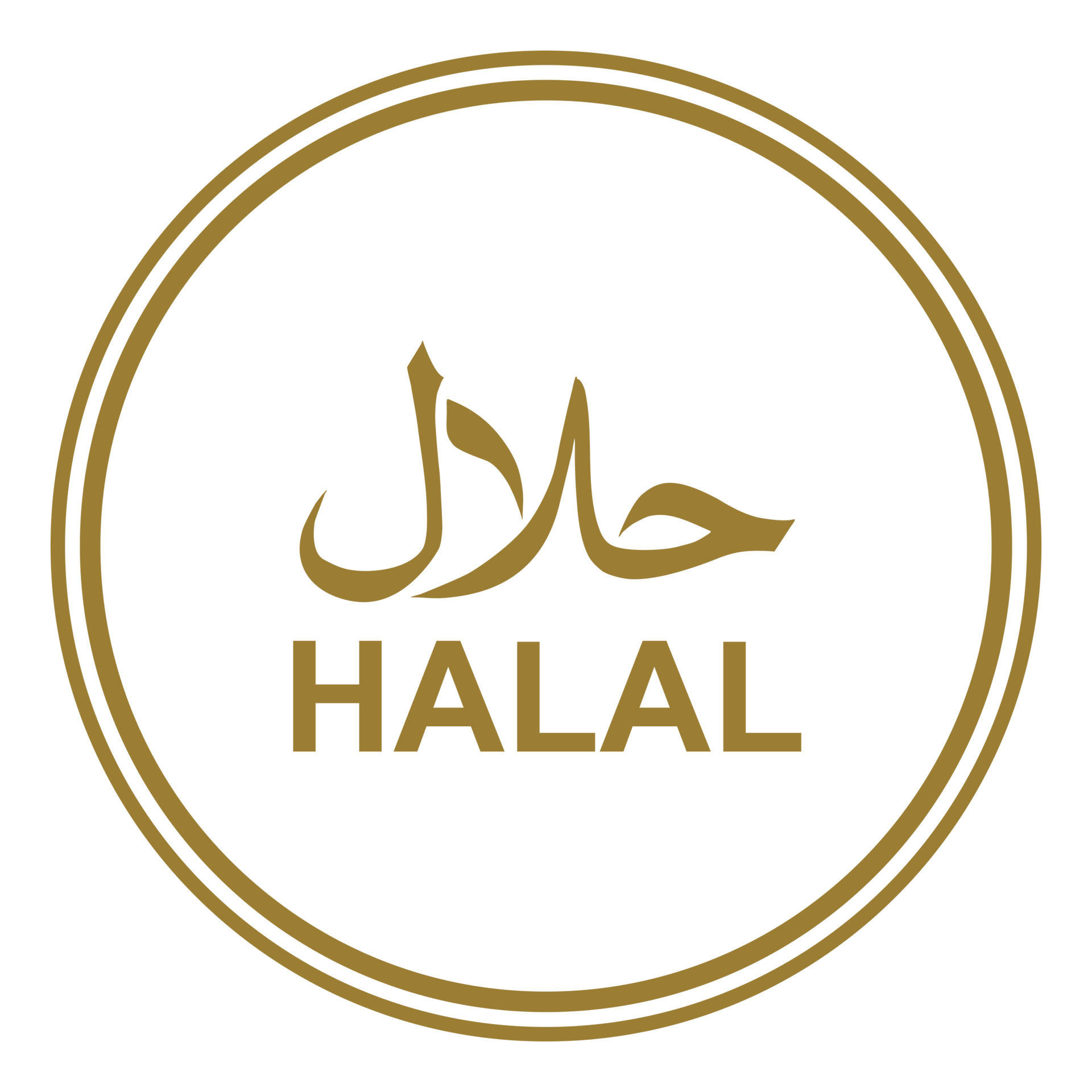 Halal Logo Icon Symbol. Halal Islamic Food Certification. Format PNG  15096202 PNG