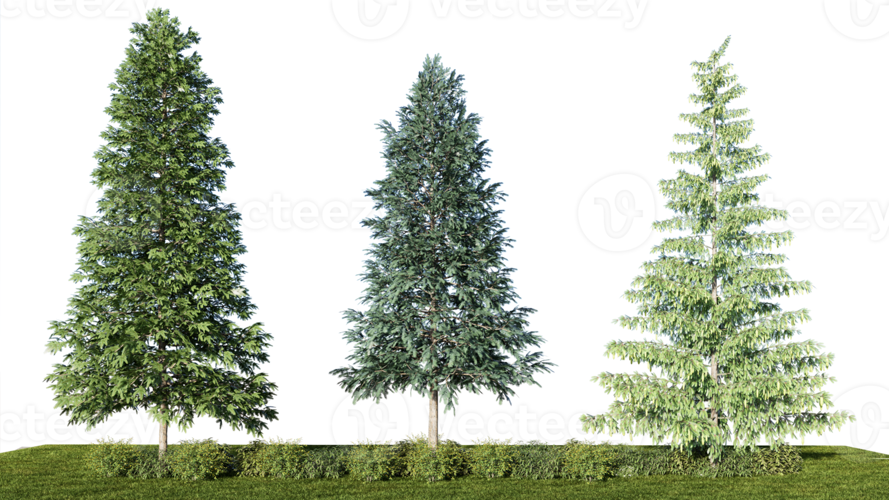 3d rendering illustration tree isolate png