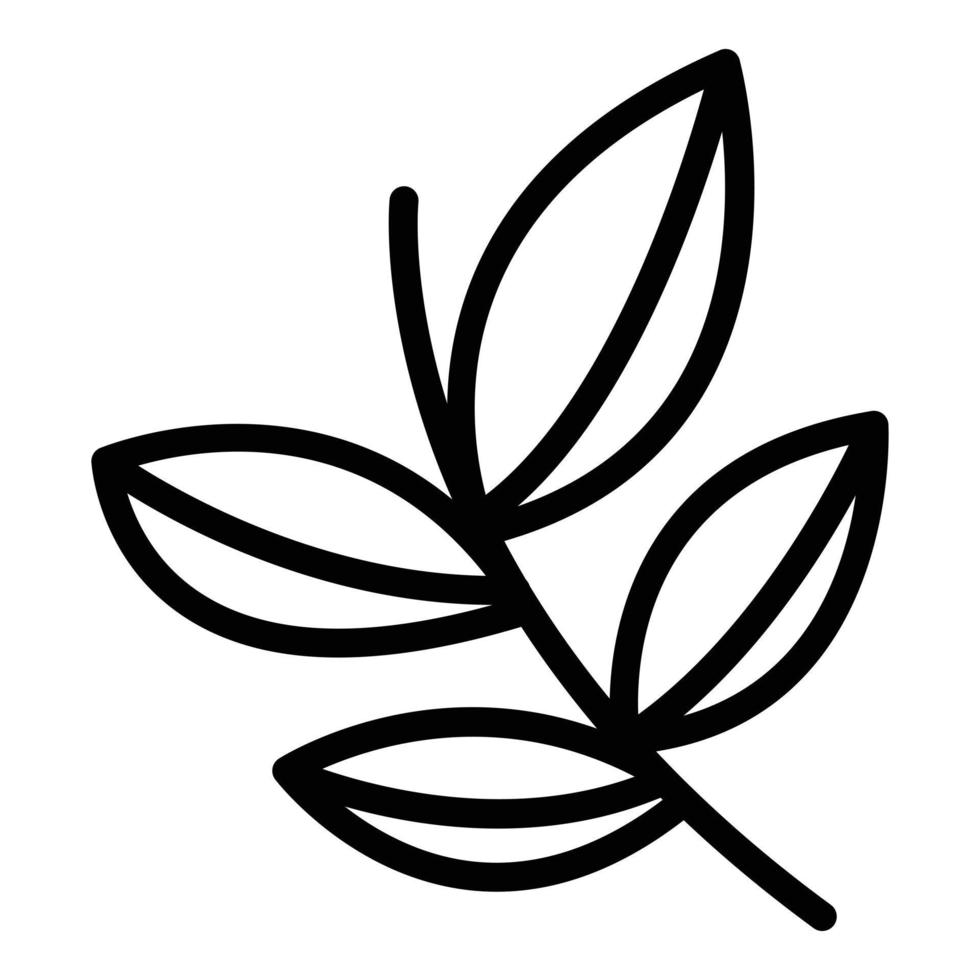 Dill oregano icon outline vector. Leaf herb vector