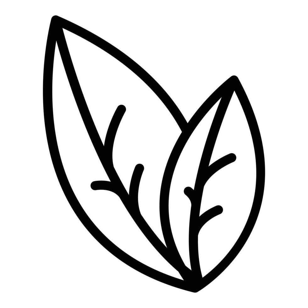 vector de contorno de icono de planta de orégano. hierba de hoja