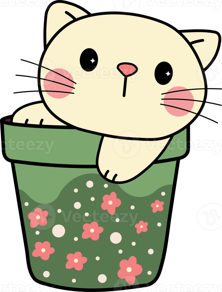 flor gato lindo pote vaso de flores gatinho gatinho animal de estimação gato fofo adorável png