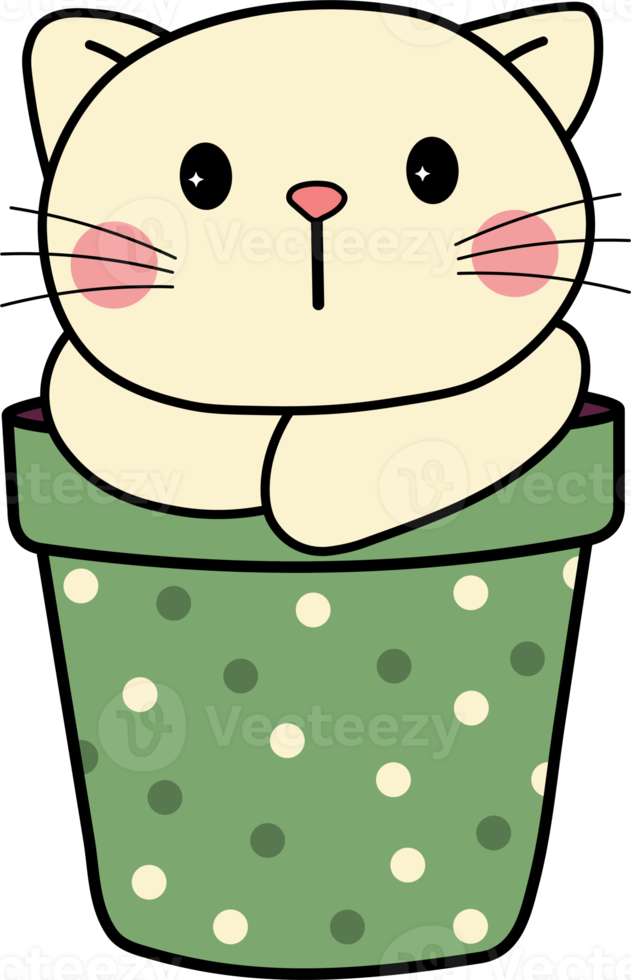 blomma pott pott kattunge sällskapsdjur söt katt png