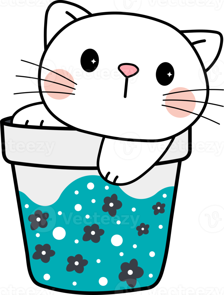 Kitty cat flower cute pot flower pot kitten pet cut png