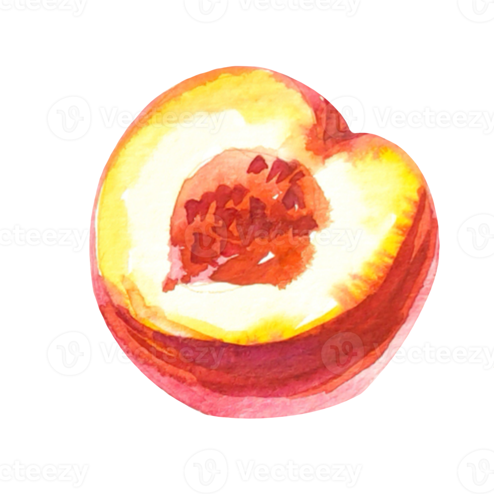 peaches watercolor illustration png